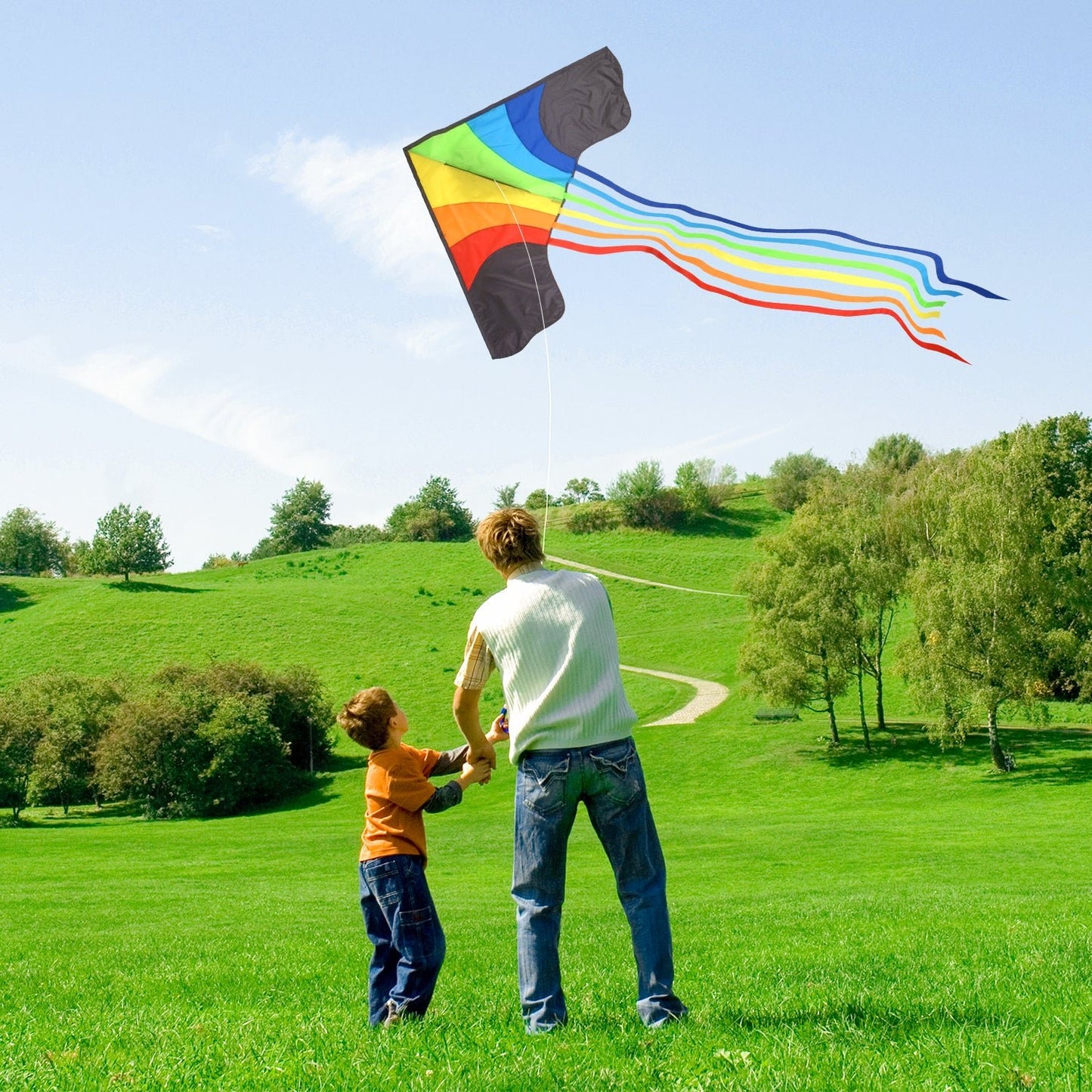 Rainbow Delta 3 Kite for children and adults - Sun Kites