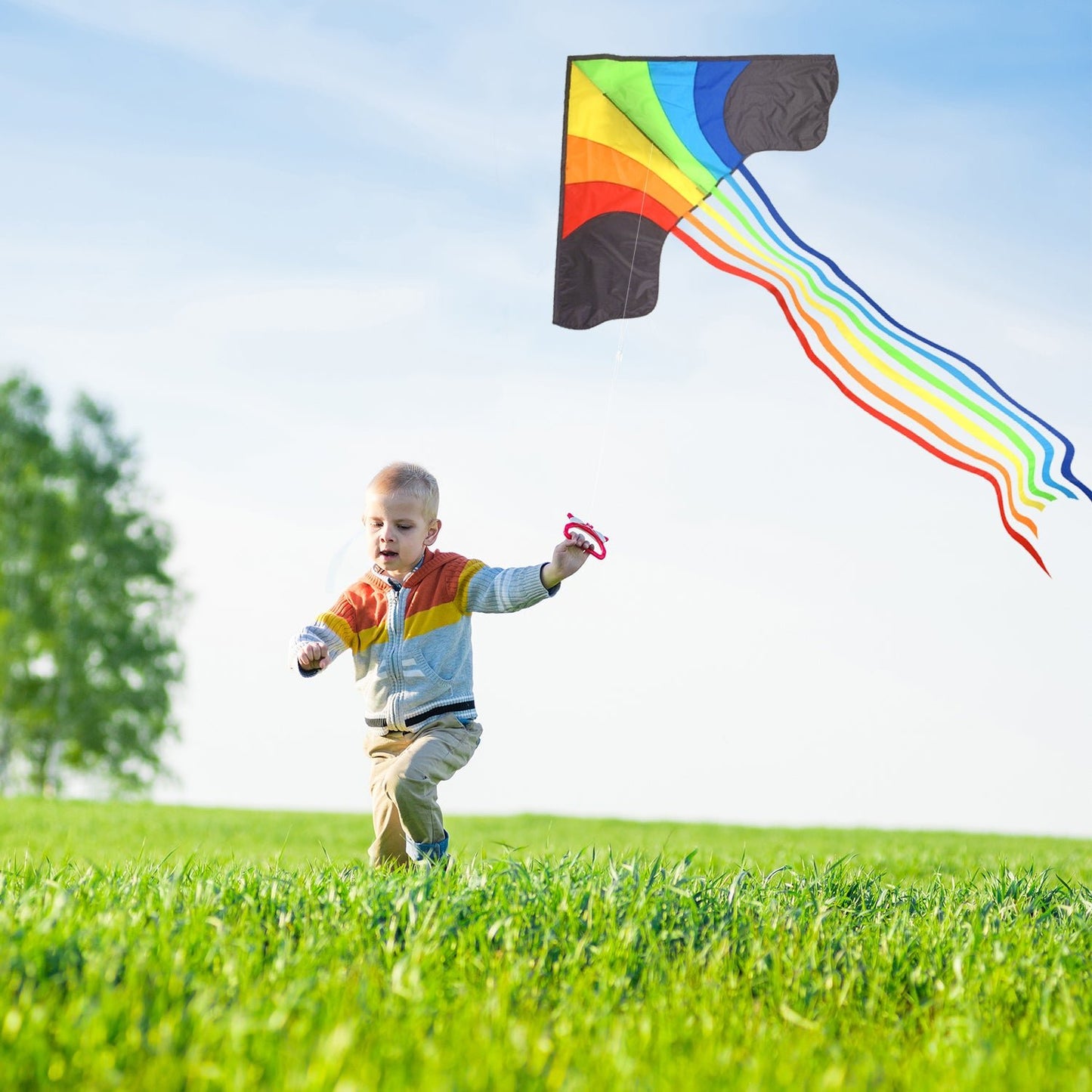 Rainbow Delta 3 Kite for children and adults - Sun Kites