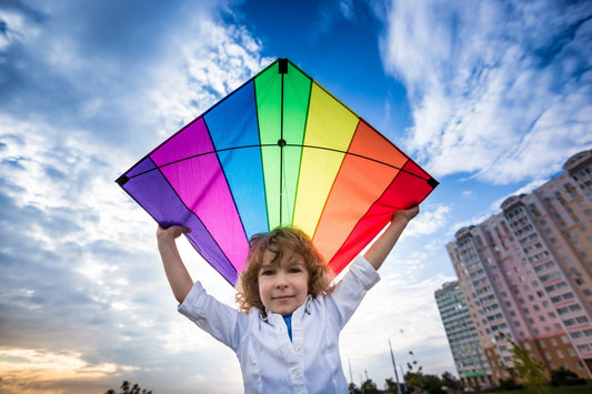 Different Types of Kites: Which One is Right for You? - Sun Kites