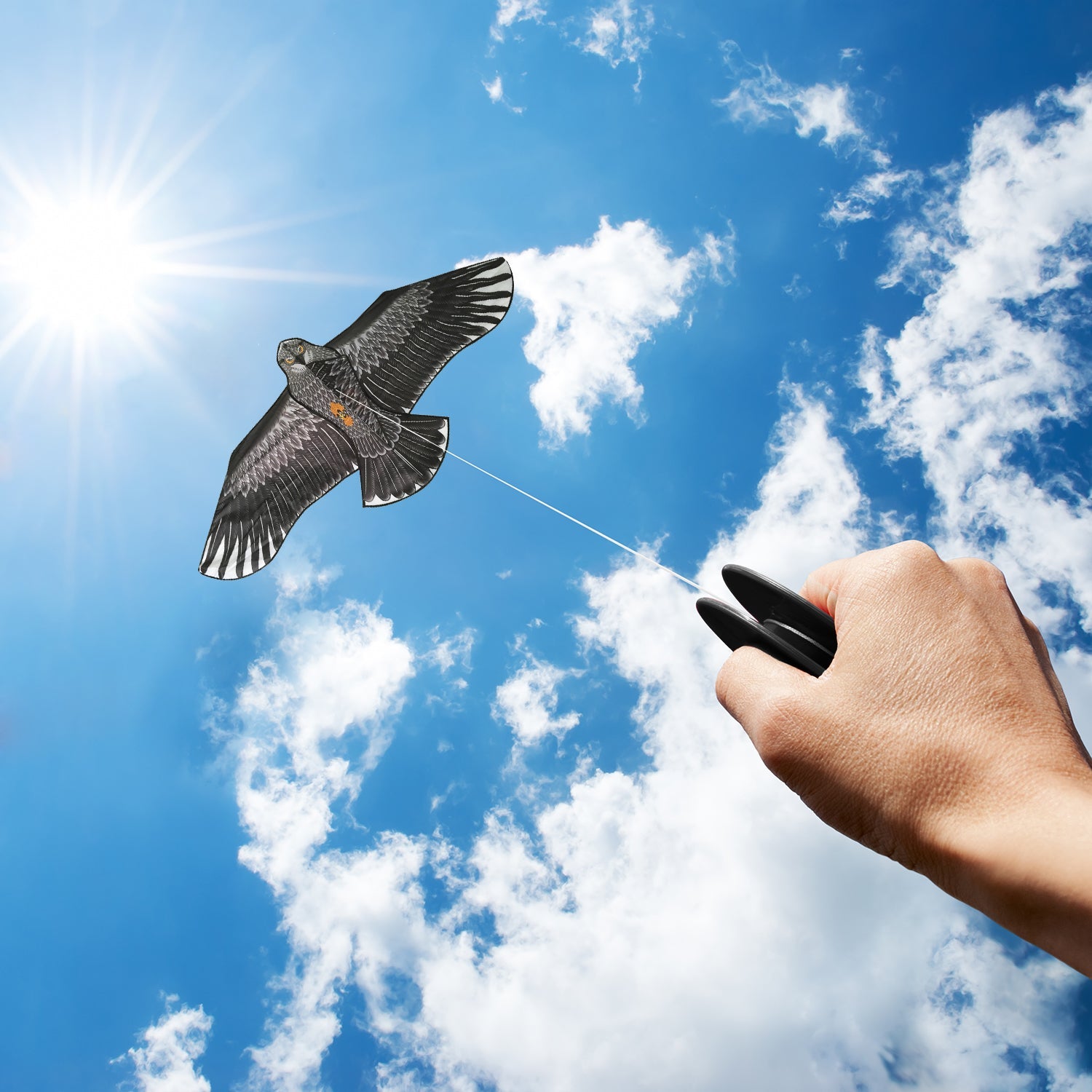 Eagle Kite - Sun Kites