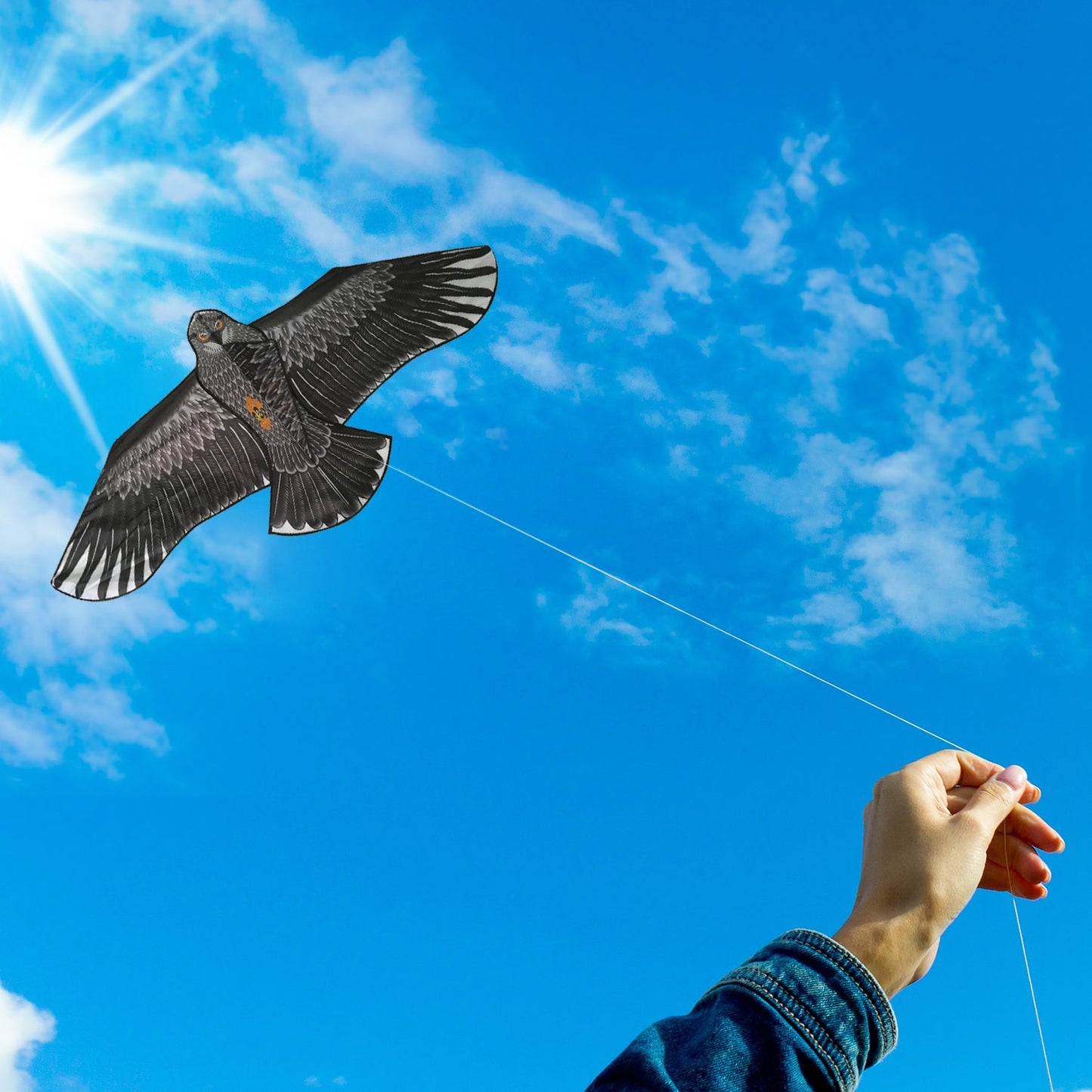Argabrite Kite Eagle Kite For Children and Adults – Sun Kites