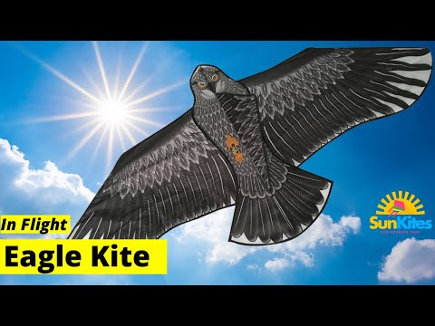 Eagle Kite For Children and adults