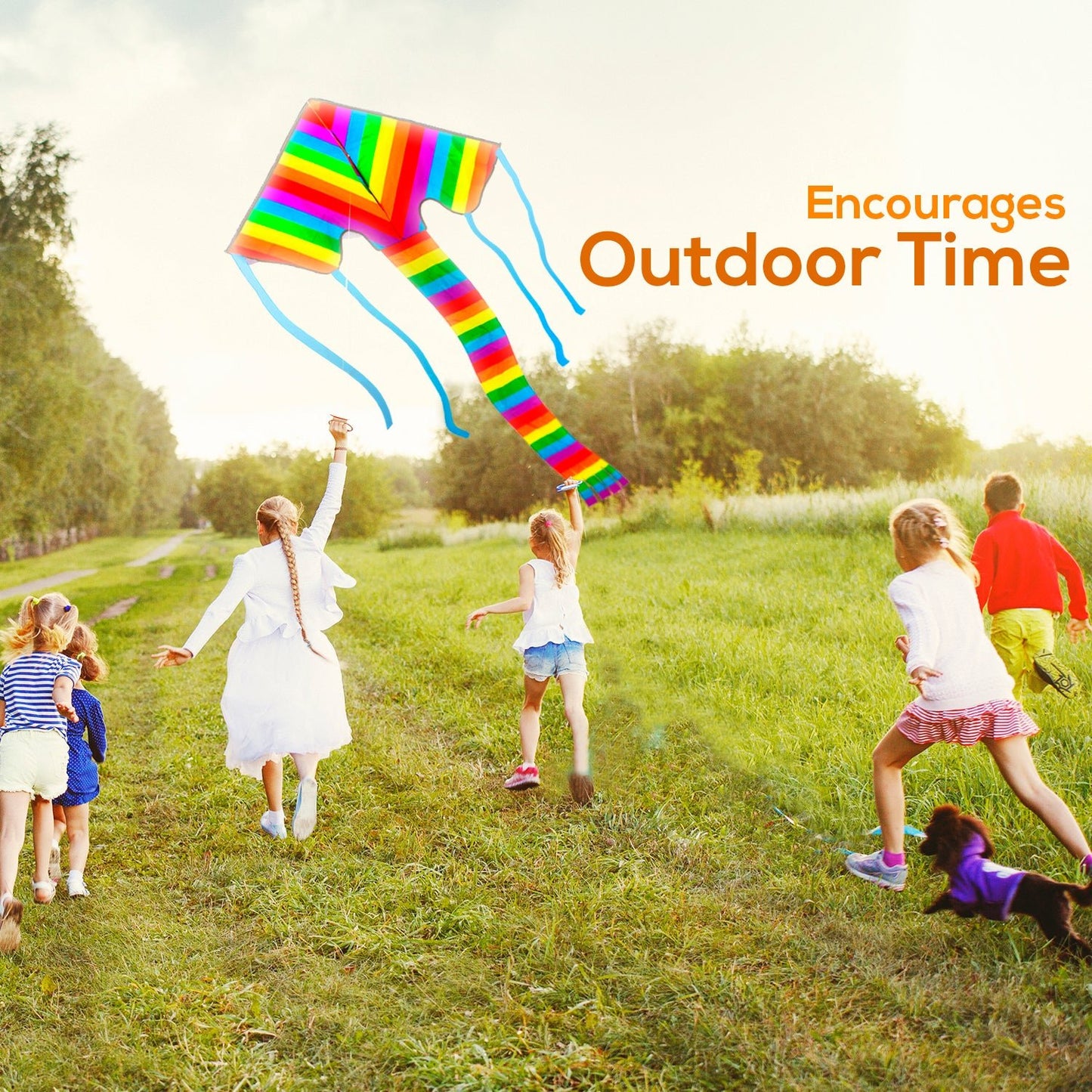 Rainbow Delta 2 Kite - Sun Kites