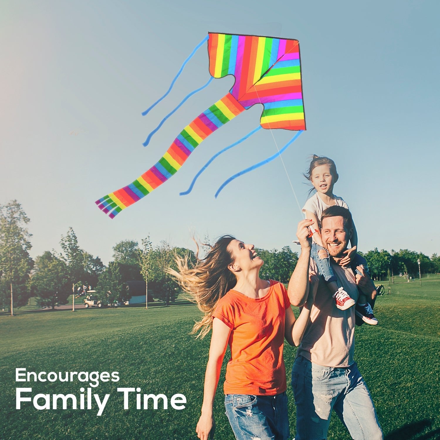 Rainbow Delta 2 Kite - Sun Kites